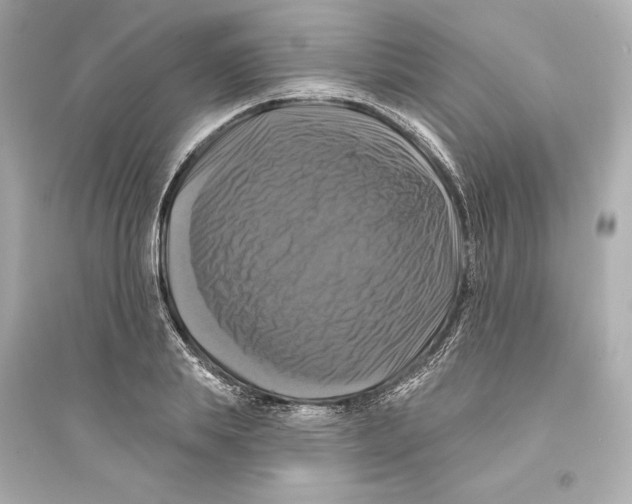 X0000093740839200711131100