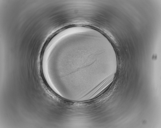 X0000093740840200711131100