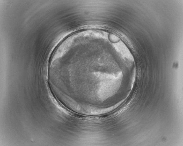 X0000093740844200711131100