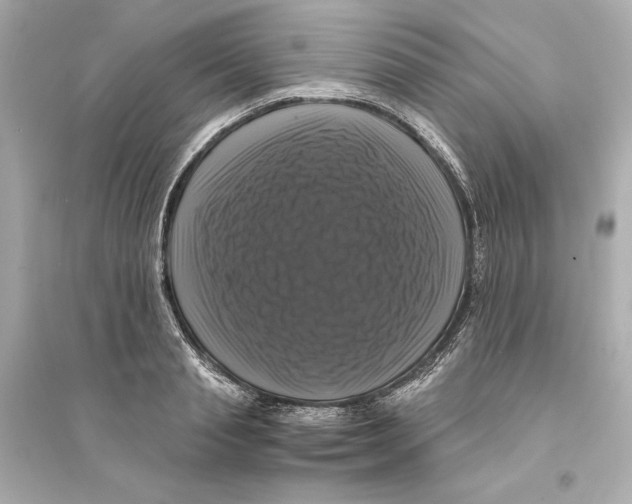 X0000093740845200711131100