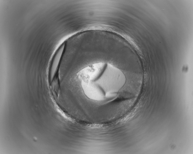 X0000093740846200711131100