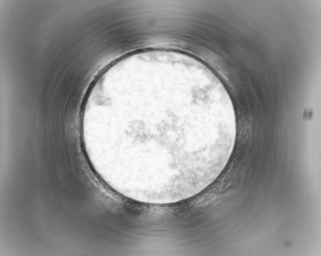 X0000093740848200711131100