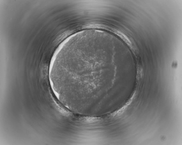 X0000093740849200711131100