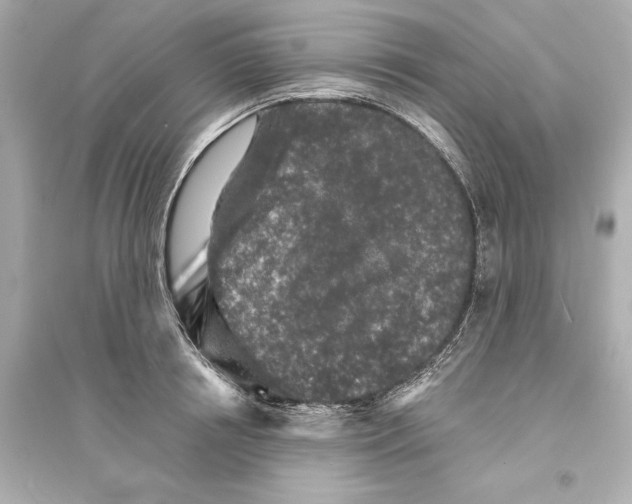 X0000093740850200711131100