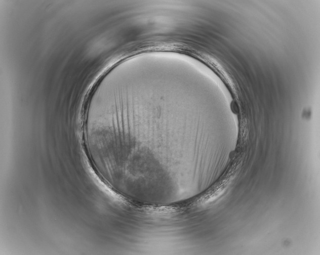 X0000093740851200711131100