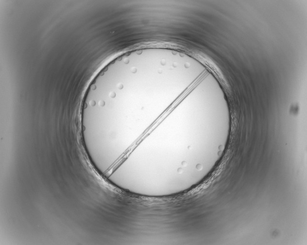 X0000093740852200711131100
