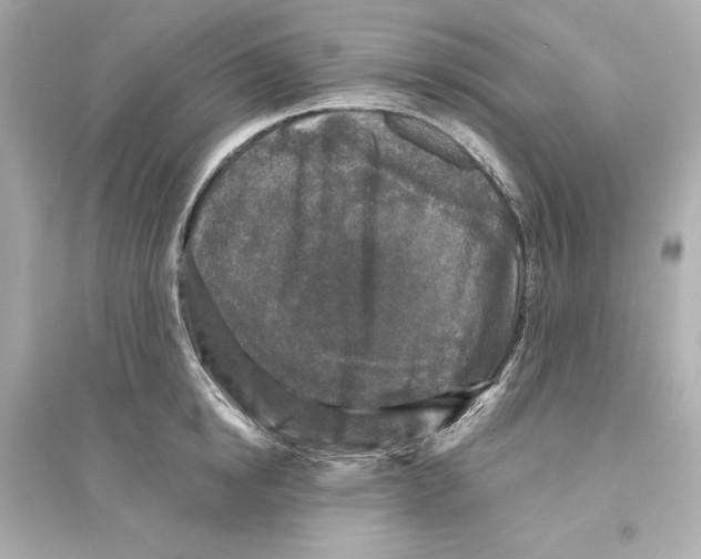 X0000093740854200711131100