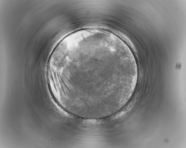 X0000093740855200711131100