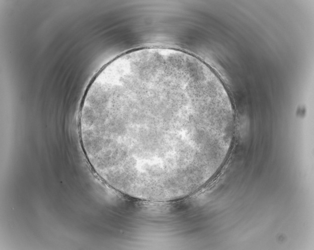 X0000093740856200711131100