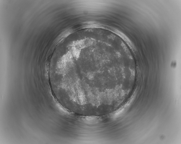 X0000093740857200711131100