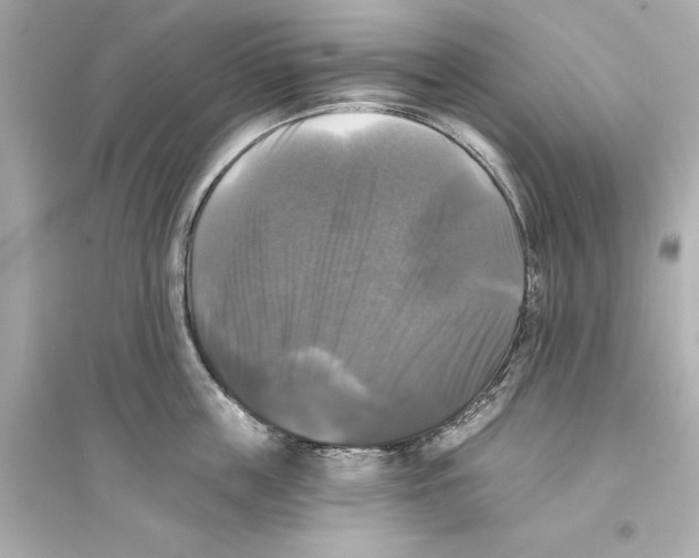 X0000093740859200711131100