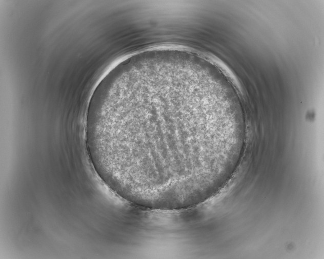 X0000093740860200711131100