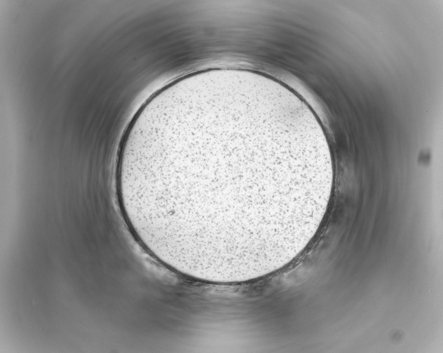 X0000093740861200711131100