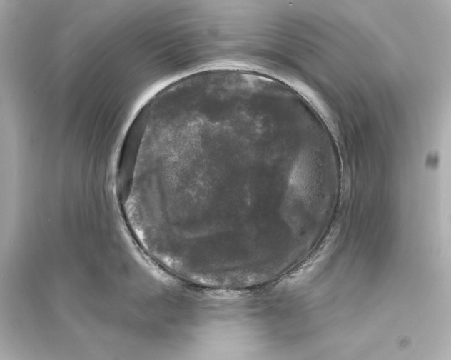 X0000093740862200711131100