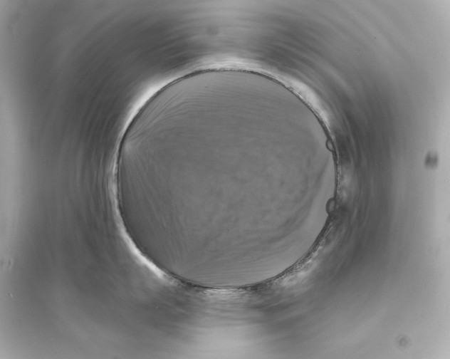 X0000093740863200711131100