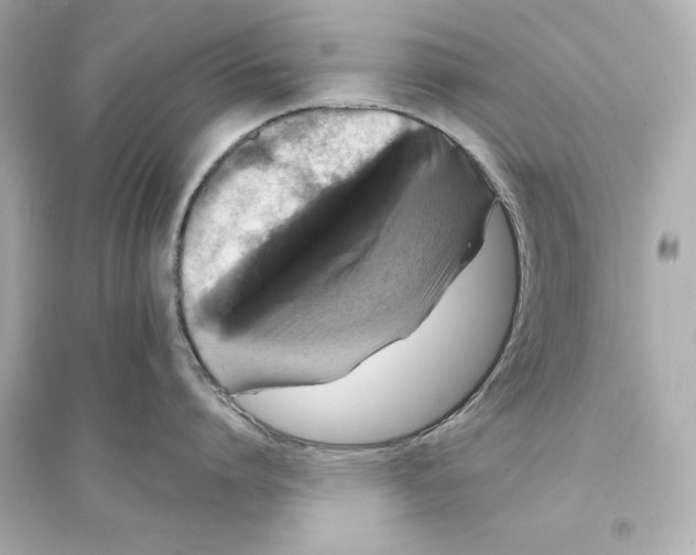 X0000093740864200711131100