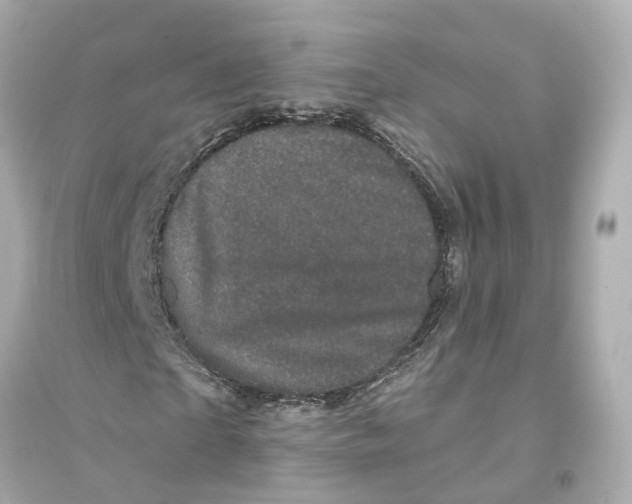 X0000093740865200711131059