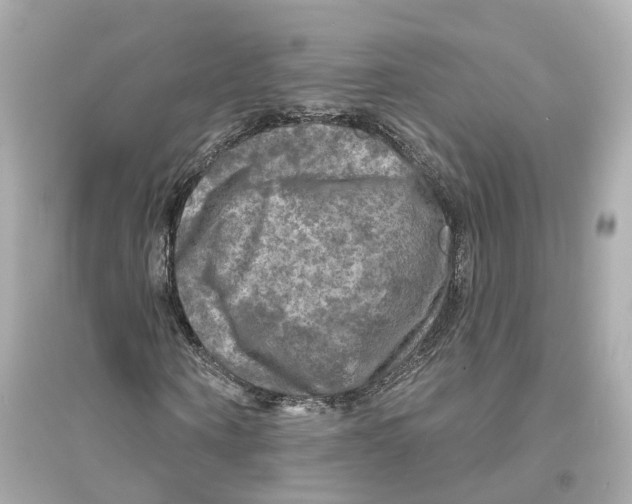 X0000093740866200711131059