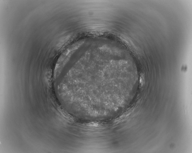 X0000093740867200711131059