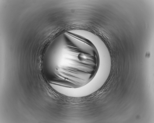 X0000093740868200711131059