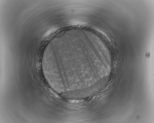 X0000093740869200711131059