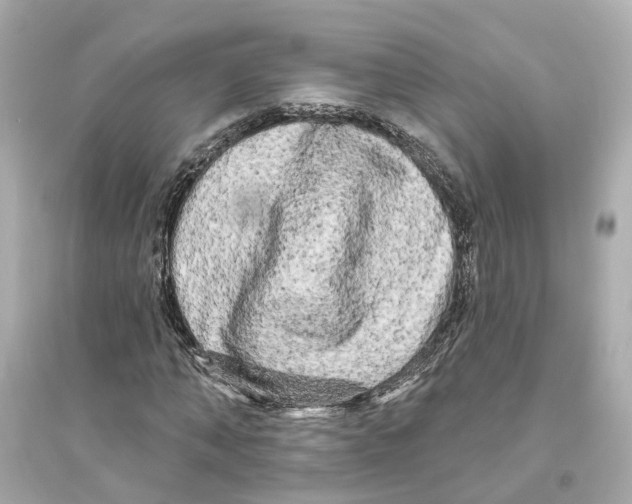 X0000093740870200711131059