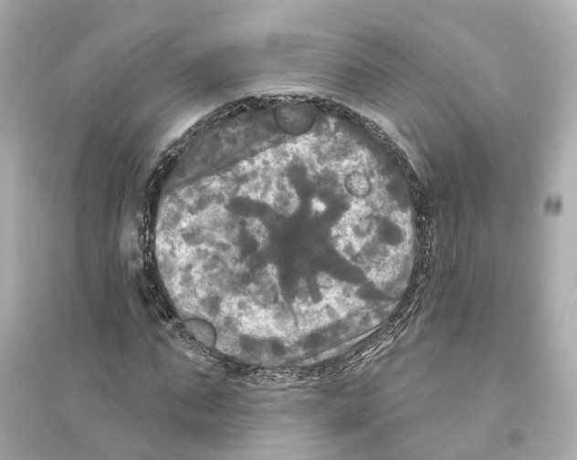 X0000093740871200711131059