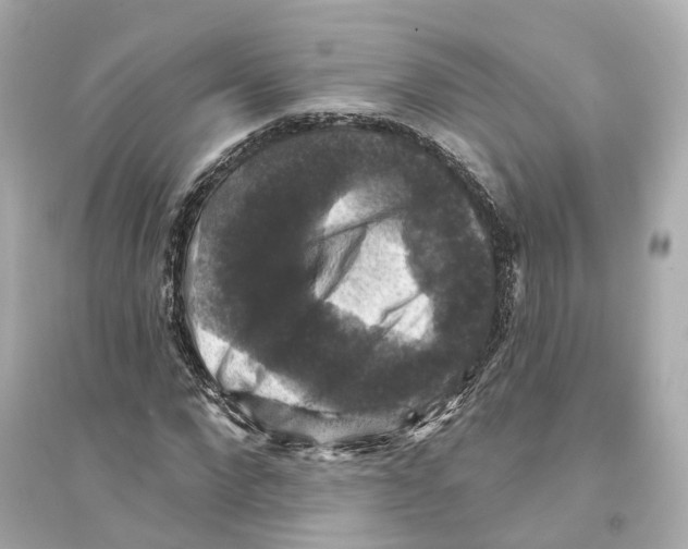 X0000093740872200711131059