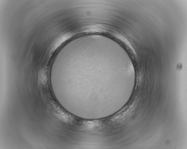 X0000093740874200711131059