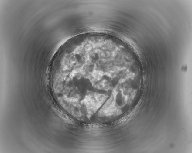 X0000093740875200711131059