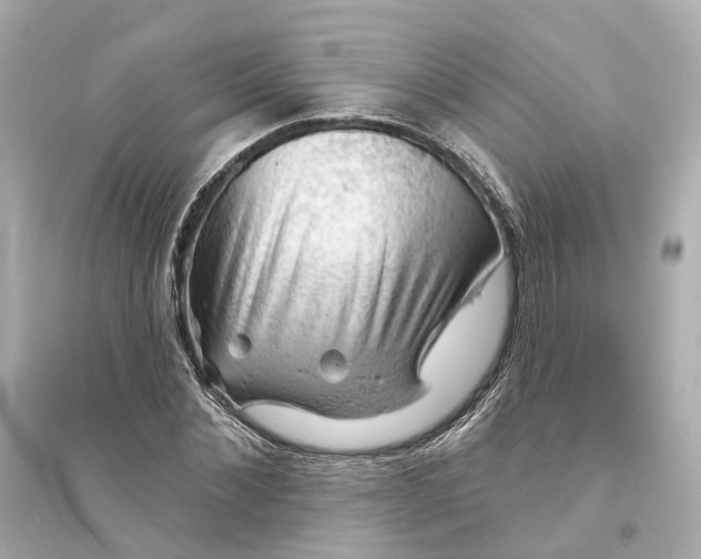 X0000093740876200711131059
