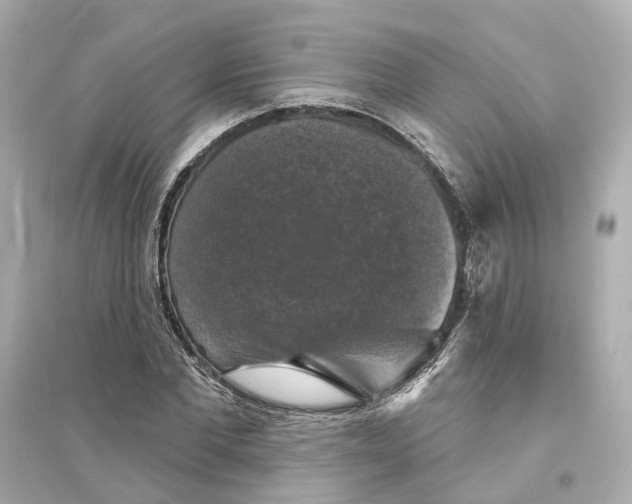 X0000093740877200711131059