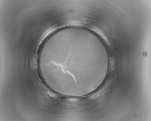 X0000093740878200711131059