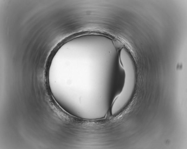 X0000093740880200711131059