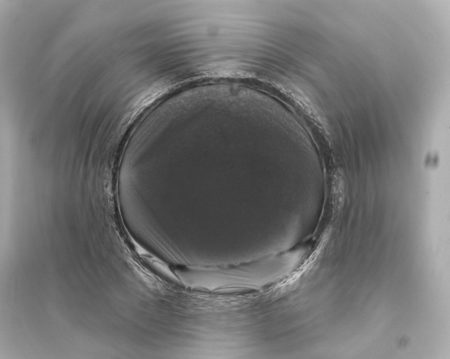 X0000093740881200711131059
