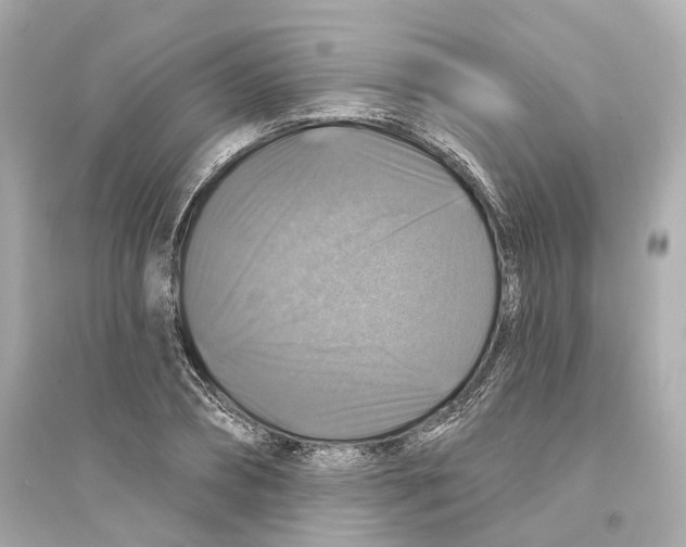 X0000093740882200711131059