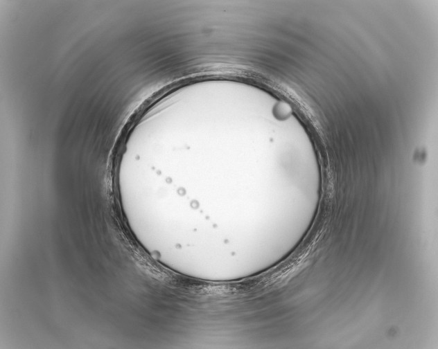 X0000093740883200711131059