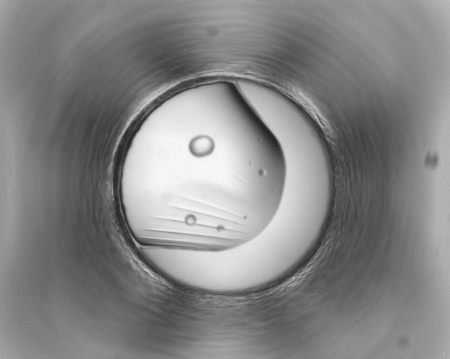 X0000093740884200711131059