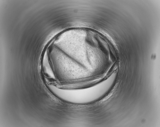 X0000093740885200711131059