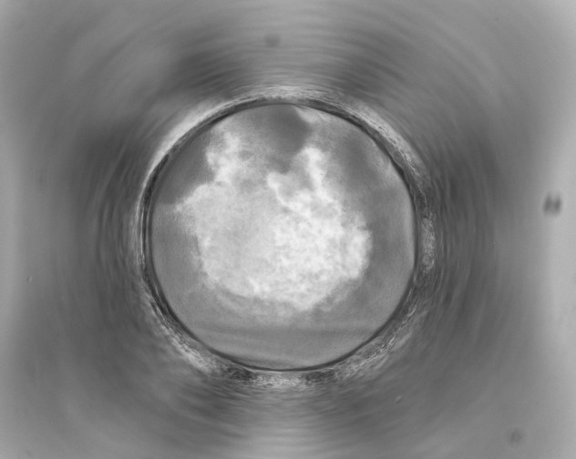 X0000093740886200711131059