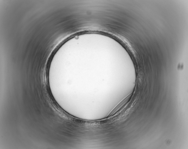 X0000093740887200711131059