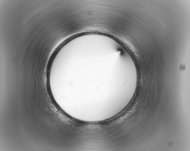 X0000093740888200711131059