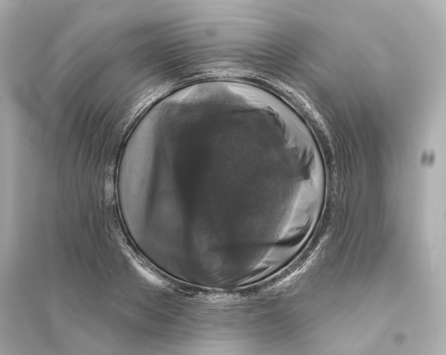 X0000093740889200711131059