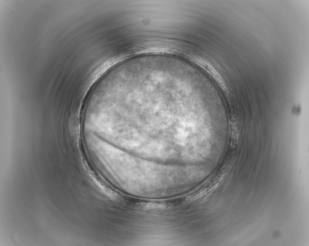 X0000093740890200711131059