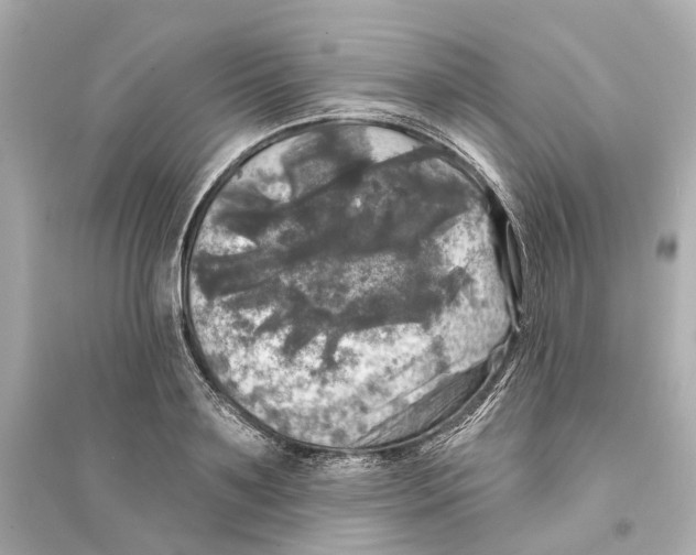 X0000093740891200711131059