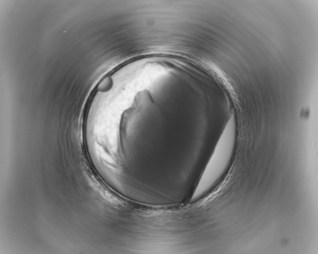 X0000093740892200711131059