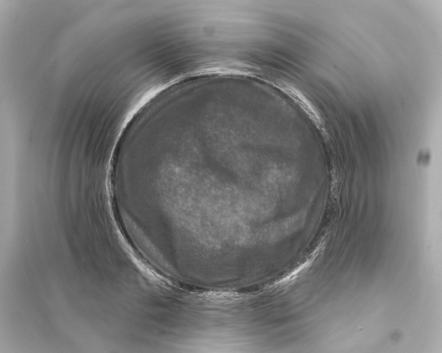 X0000093740893200711131059