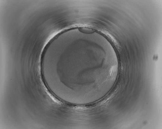 X0000093740894200711131059