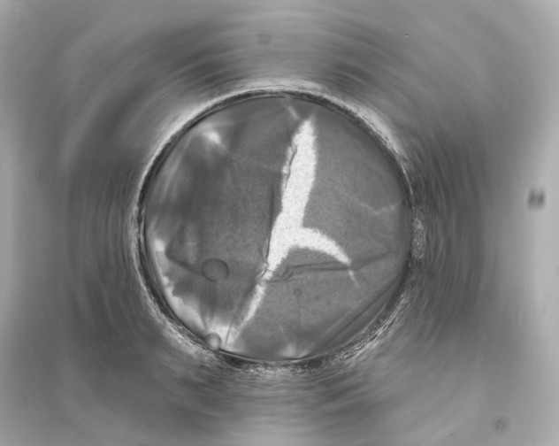 X0000093740895200711131059
