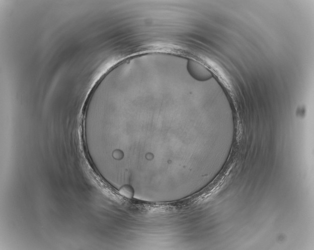 X0000093740899200711131059